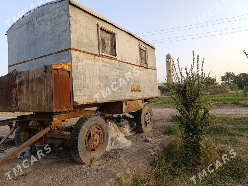 Wagon - Mary - img 3