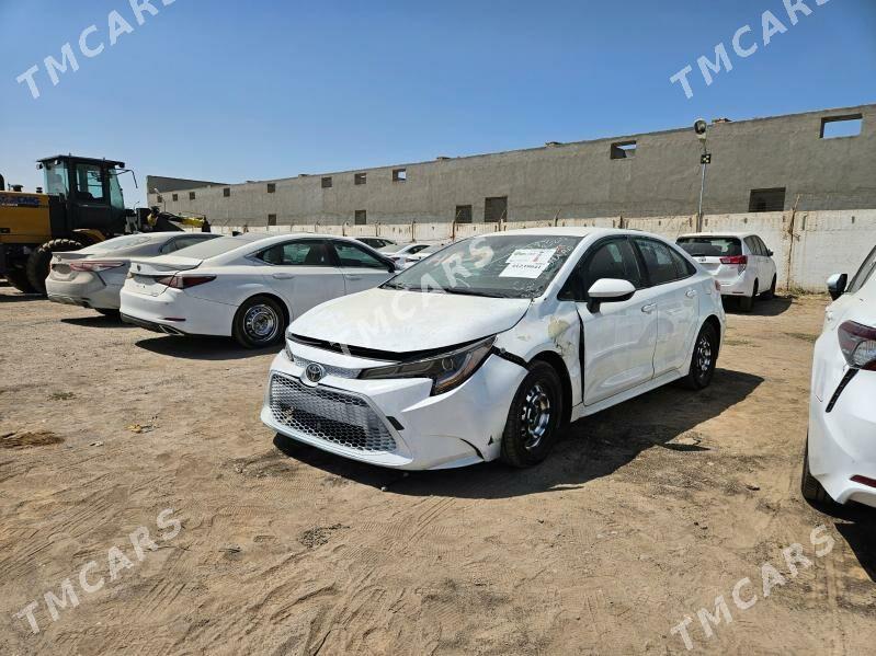 Toyota Corolla 2020 - 196 000 TMT - Мары - img 2