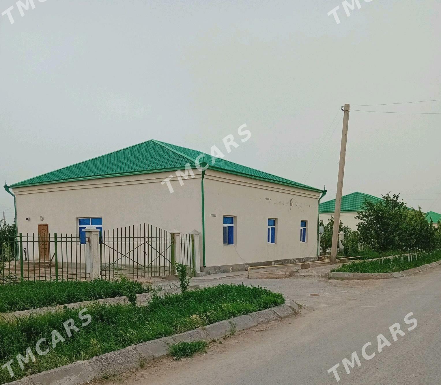 Satlyk jaÿ Altyn sâhra - Сакарчага - img 2