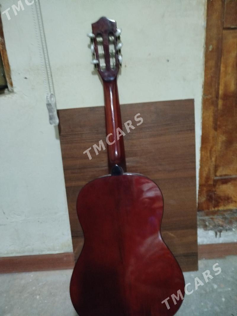 gitara 2017 - Köşi - img 2