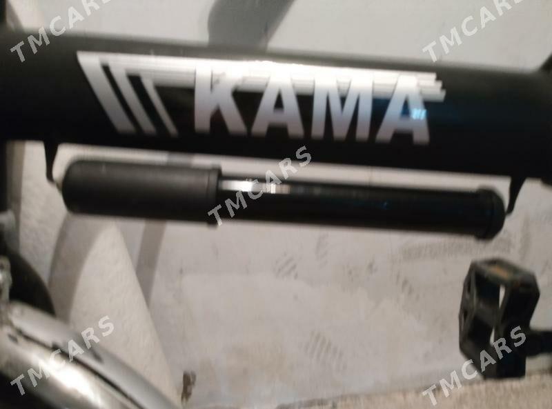 Kama tigir - Bagyr - img 7