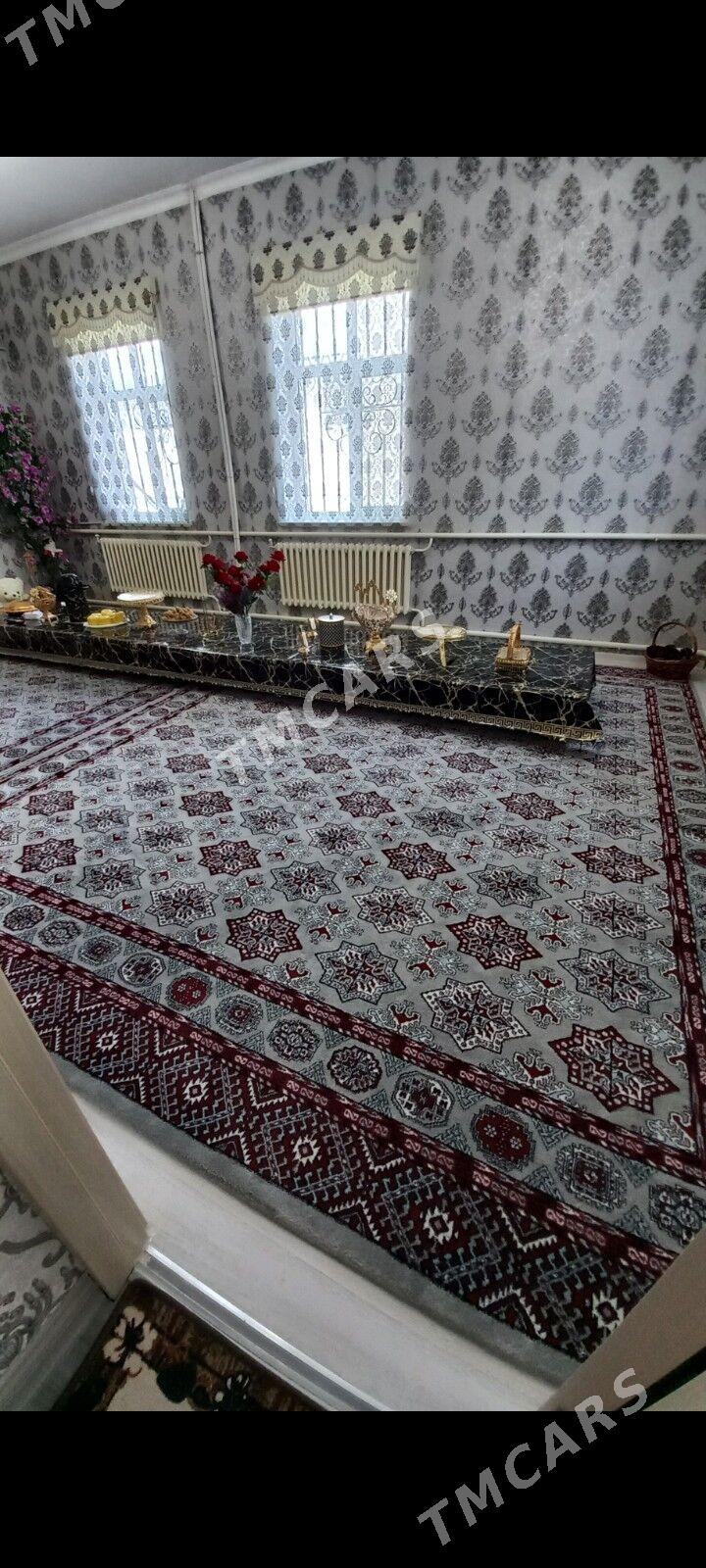 Haly - Daşoguz - img 2