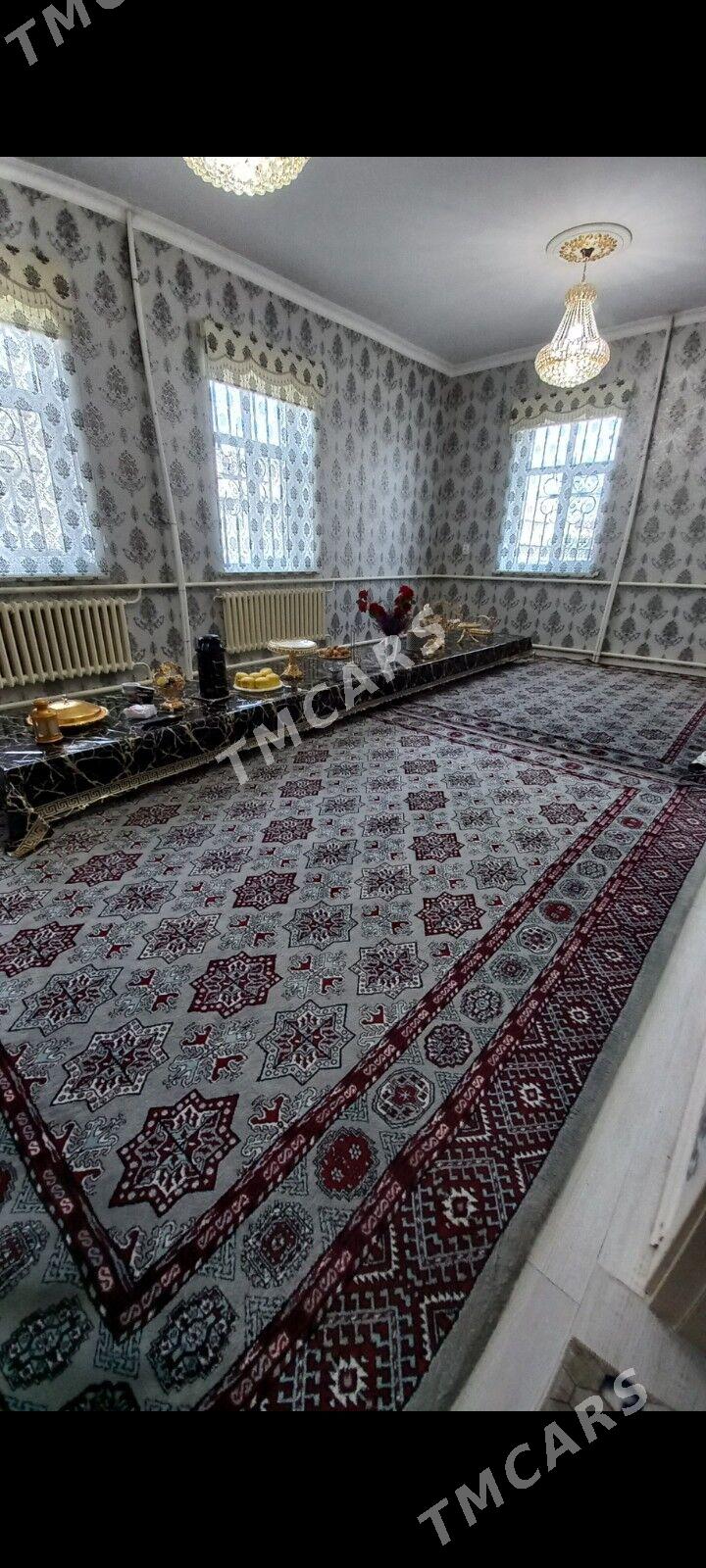 Haly - Daşoguz - img 3