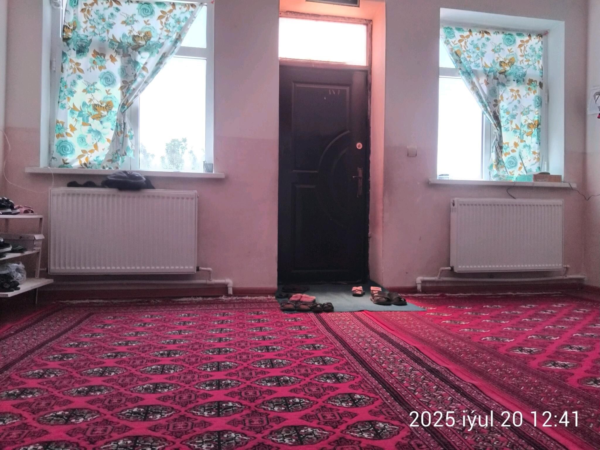 Satlyk jaÿ Altyn sâhra - Сакарчага - img 5