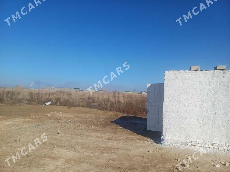 mellek - Türkmenabat - img 4