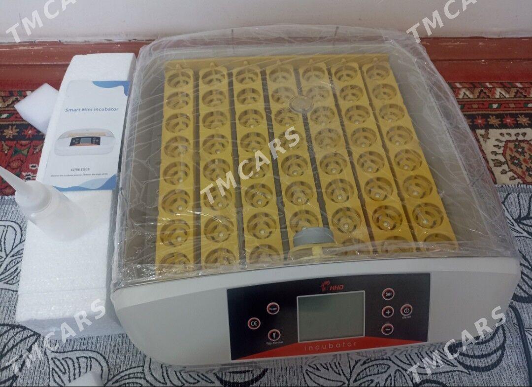 inkubator 56 yumurtgalyk - Мары - img 4
