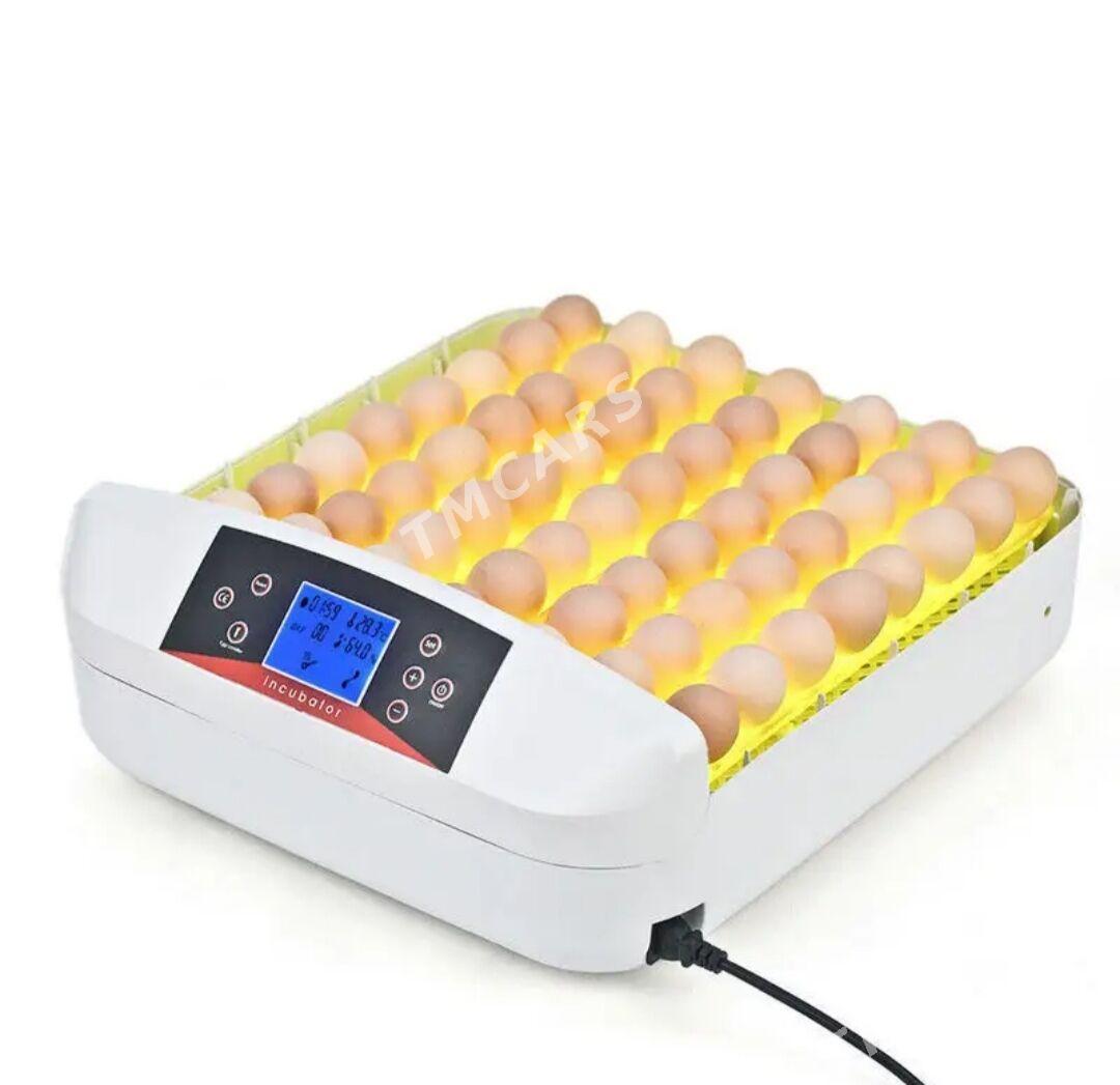 inkubator 56 yumurtgalyk - Мары - img 2