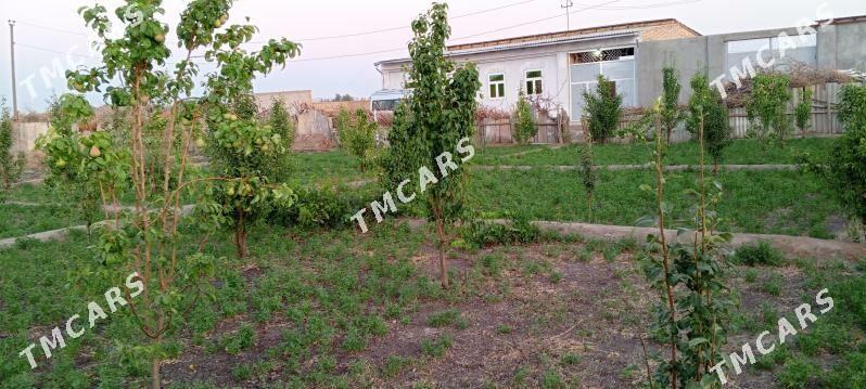 ayraport daca - Туркменабат - img 5
