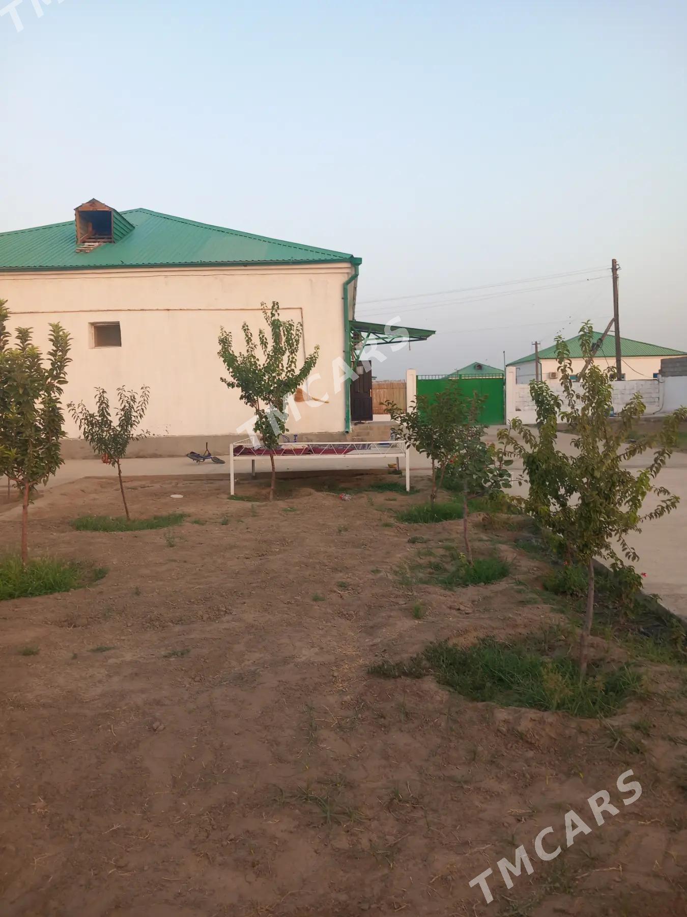 Gökdepe taze eyyam - Гёкдепе - img 2
