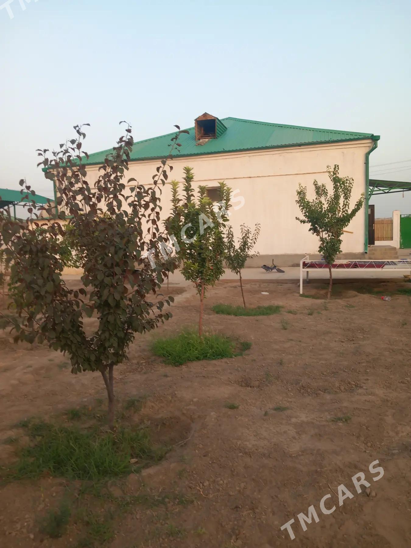 Gökdepe taze eyyam - Гёкдепе - img 4