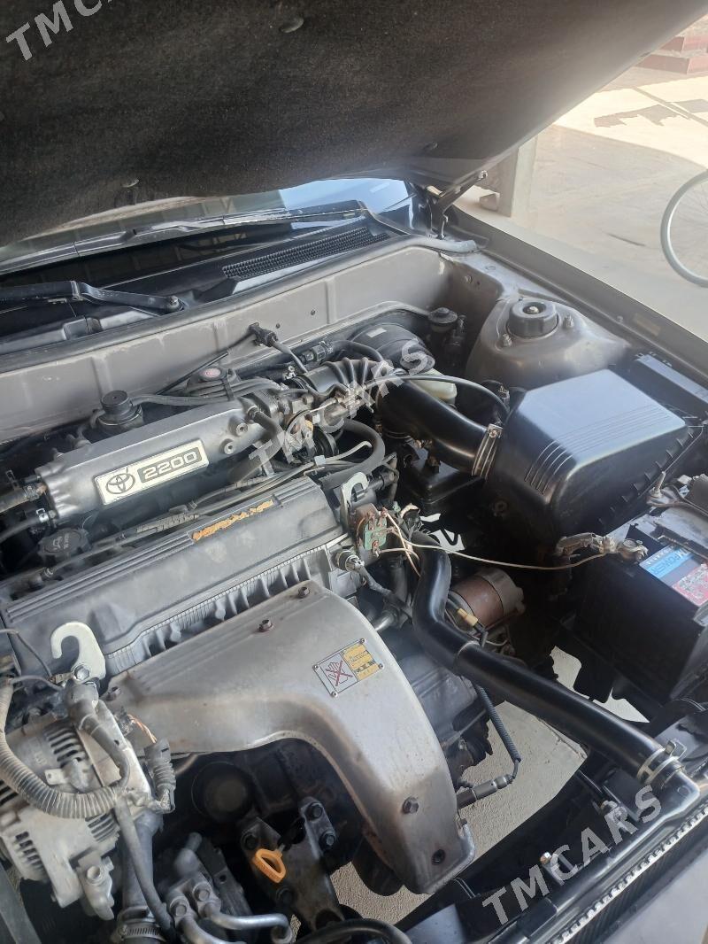 Toyota Camry 1994 - 87 000 TMT - Sakarçäge - img 2
