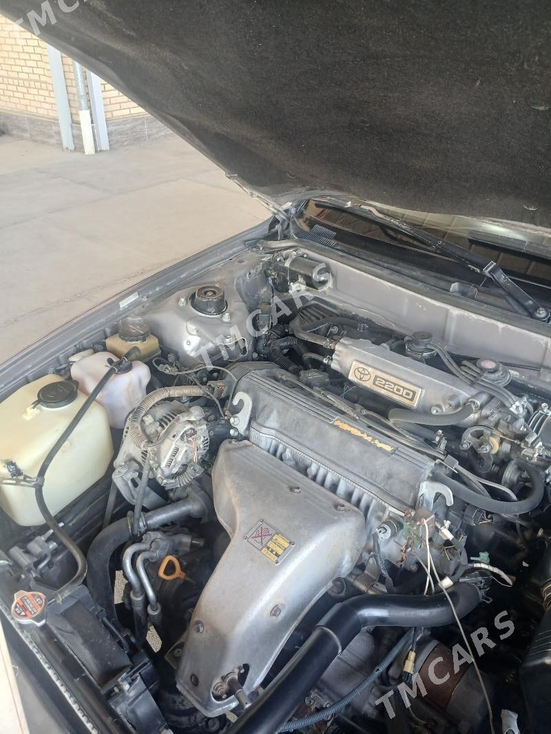 Toyota Camry 1994 - 87 000 TMT - Sakarçäge - img 6