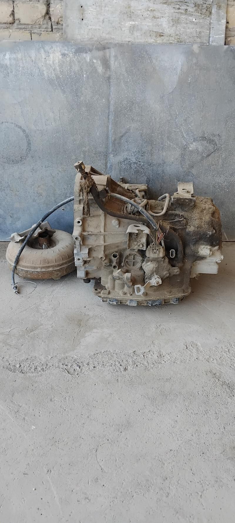 Babyçka Karopka 1 200 TMT - Türkmenabat - img 3