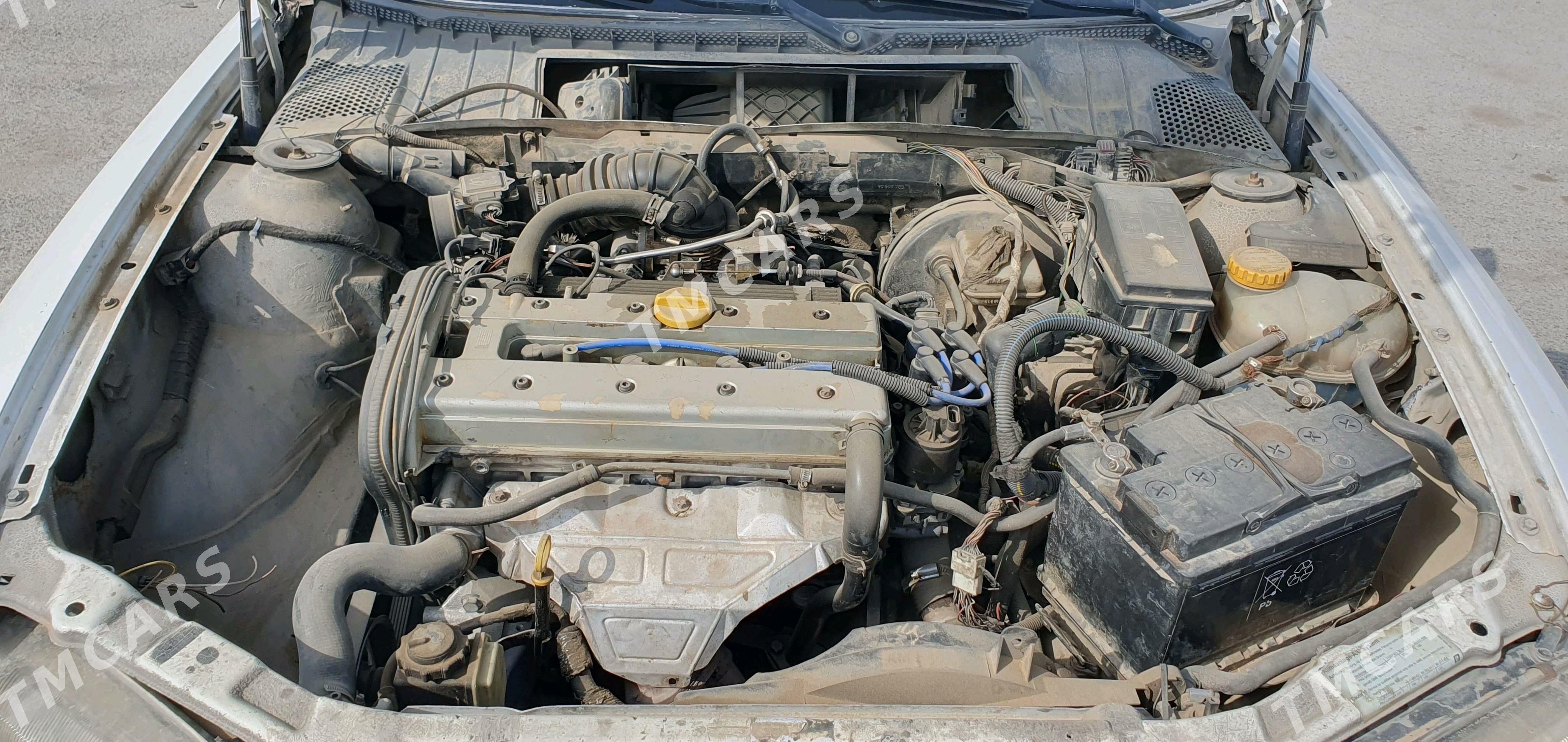 Opel Vectra 1997 - 28 000 TMT - Ашхабад - img 5