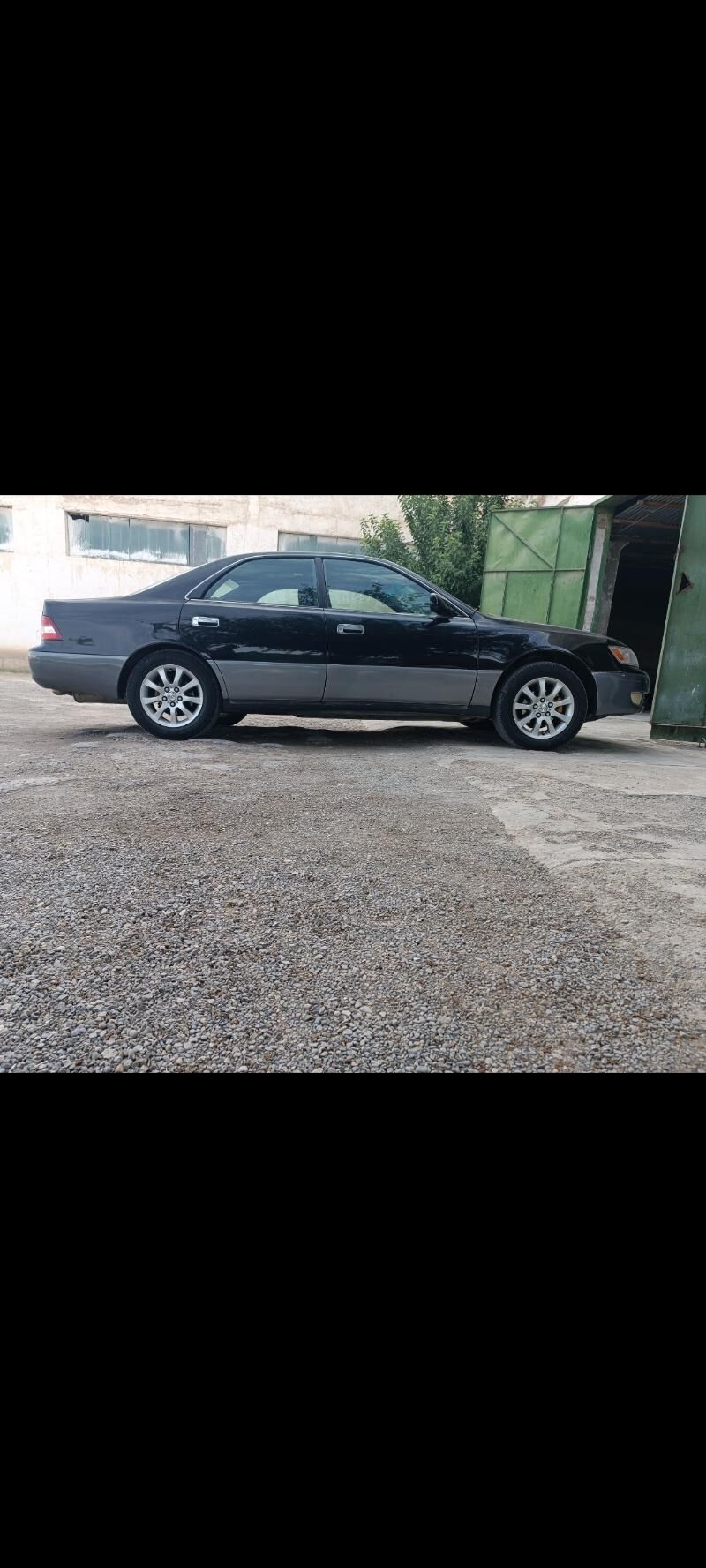 Pawarotnik 100 TMT - Мары - img 3