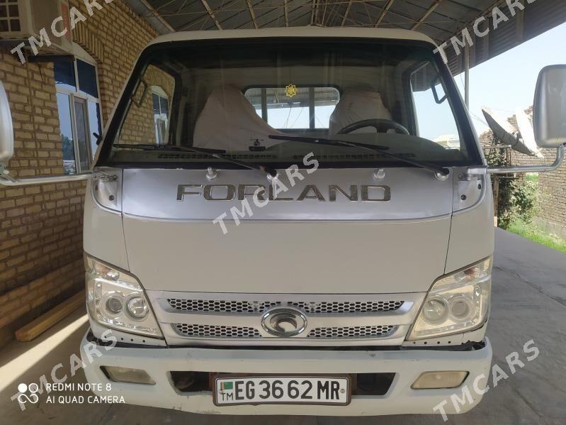 Forland H3 2013 - 130 000 TMT - Murgap - img 3