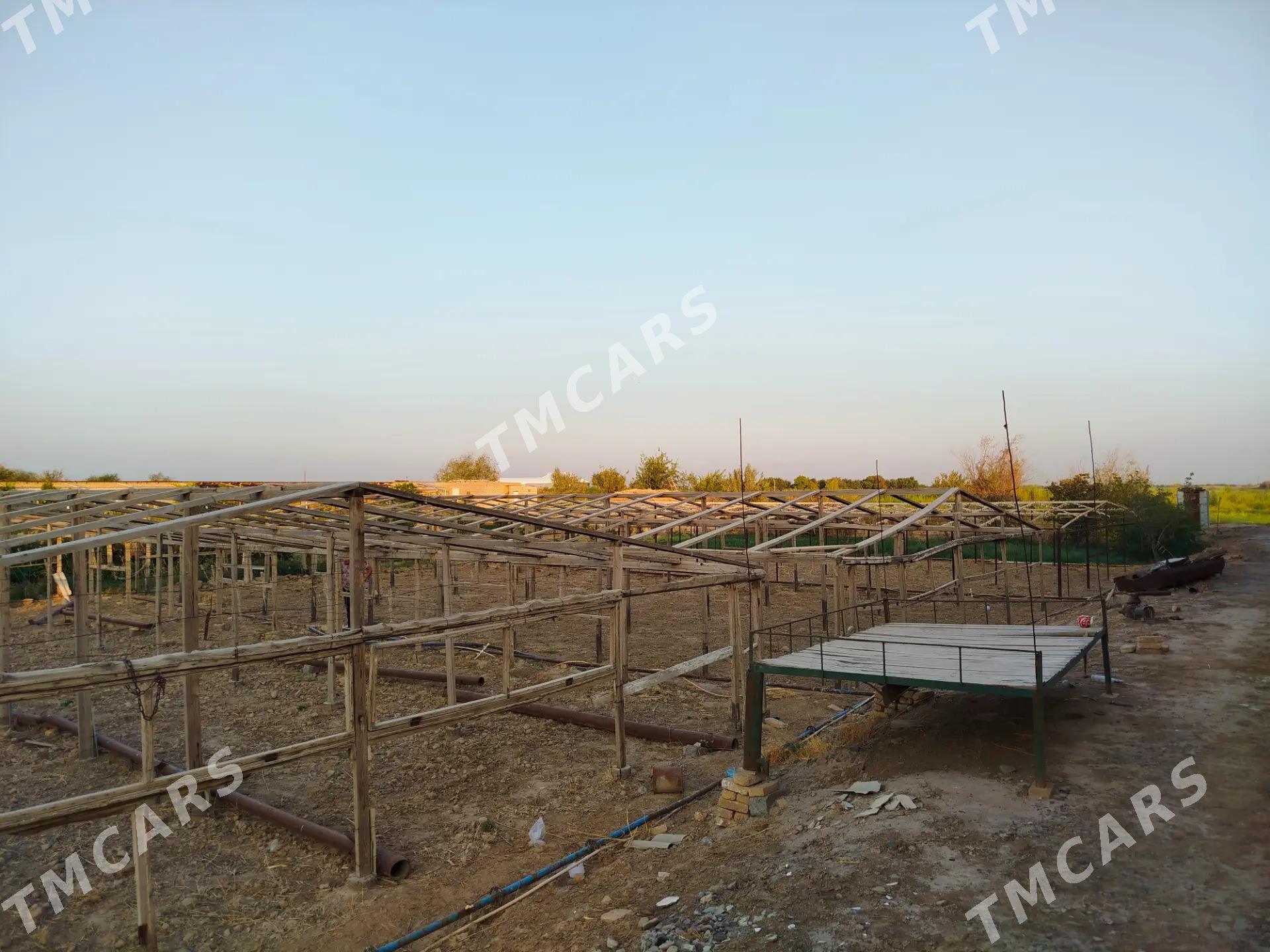 Mellek ýer ähli şert bar - Мургап - img 4