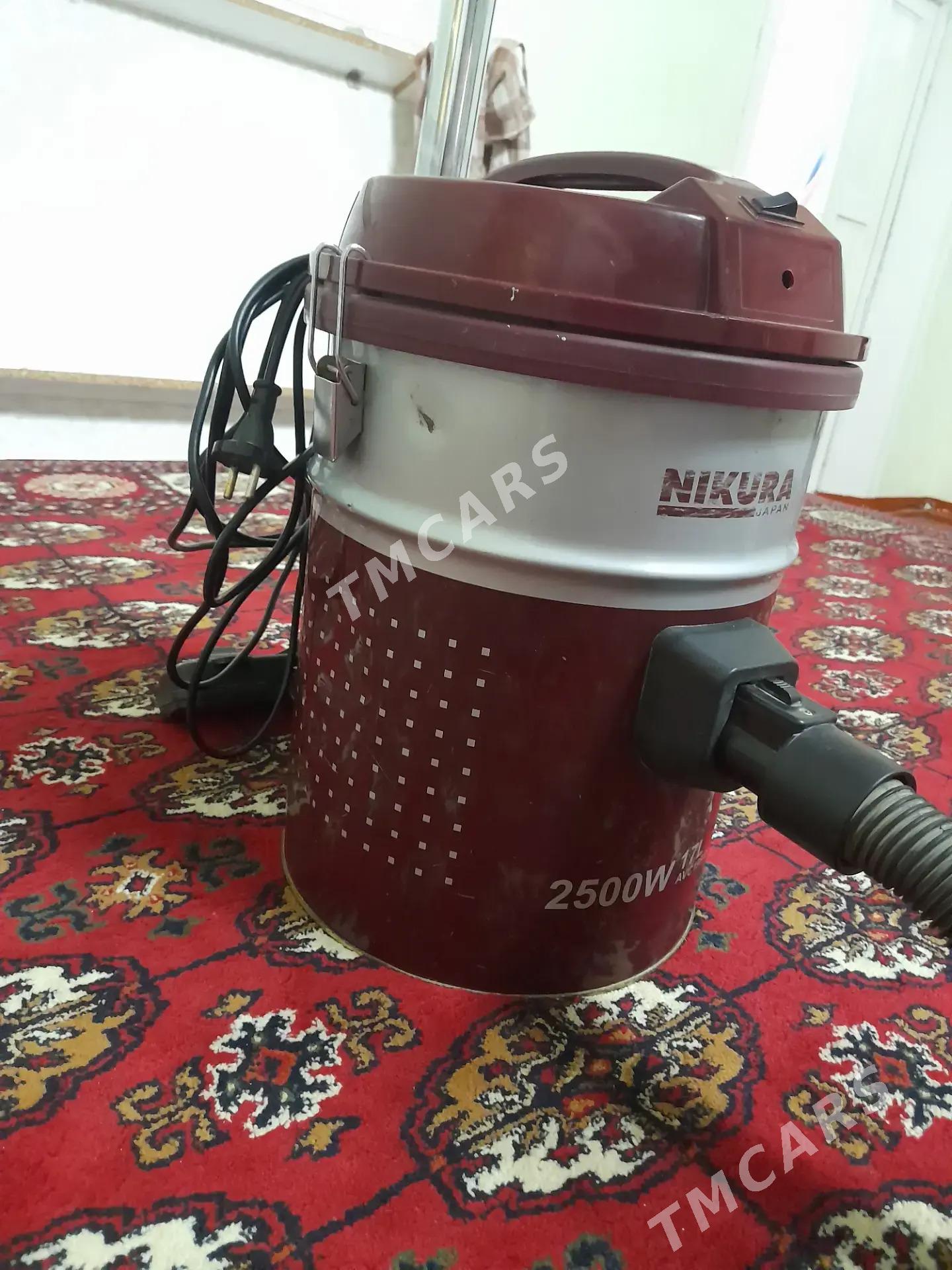 Tozan soryjy - Türkmenbaşy etr. - img 2