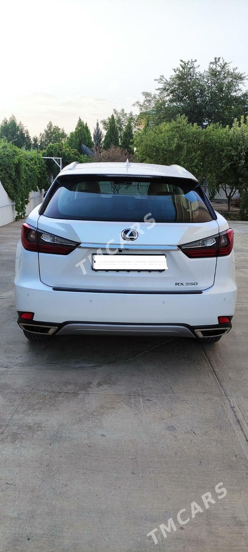 Lexus RX 350 2020 - 820 000 TMT - Чоганлы - img 5