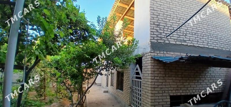 Budÿon'da jaÿ kärende - Türkmenabat - img 10