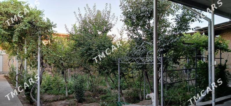 Budÿon'da jaÿ kärende - Türkmenabat - img 7