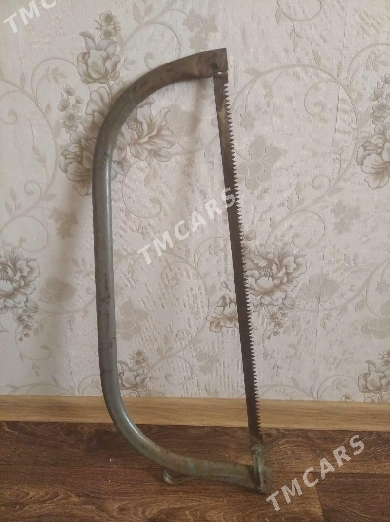 Пила - Türkmenbaşy - img 2