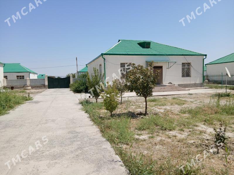 Plan jaý - Яшлык - img 2