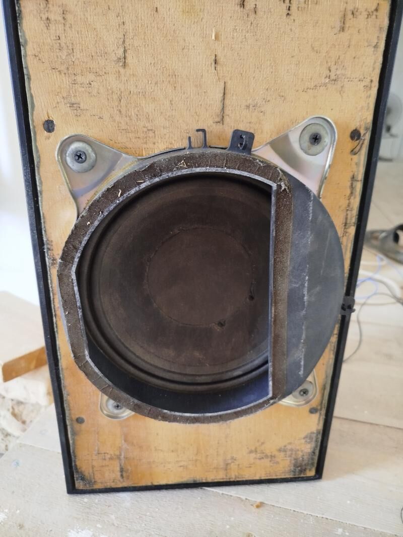 bass bocga 350 TMT - Дашогуз - img 2