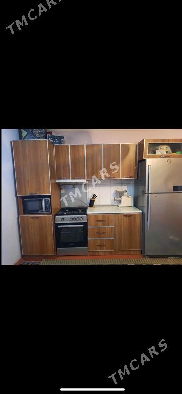 Kuhnýa garinatur - Aşgabat - img 2