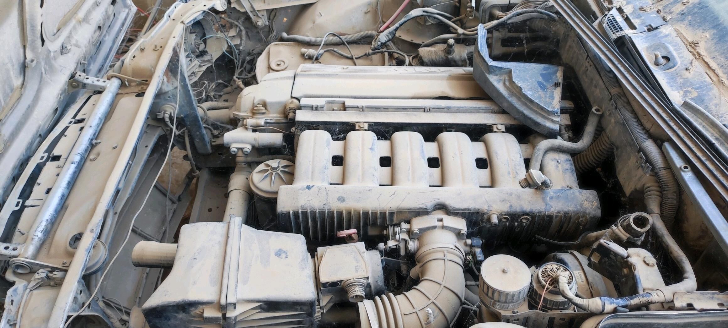 2,5motor 10 000 TMT - Tejen - img 2