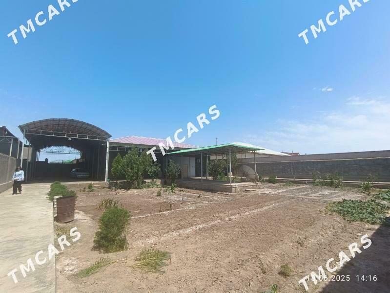 Satlyk jay - Şabat etr. - img 2