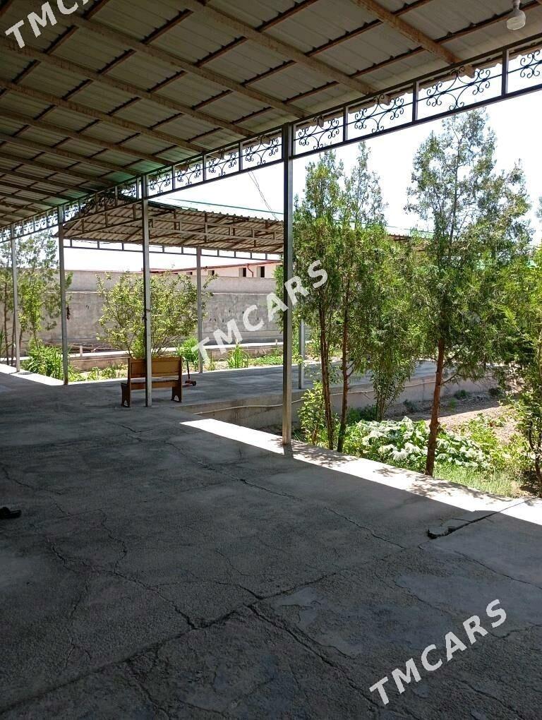 Satlyk jay - Şabat etr. - img 10