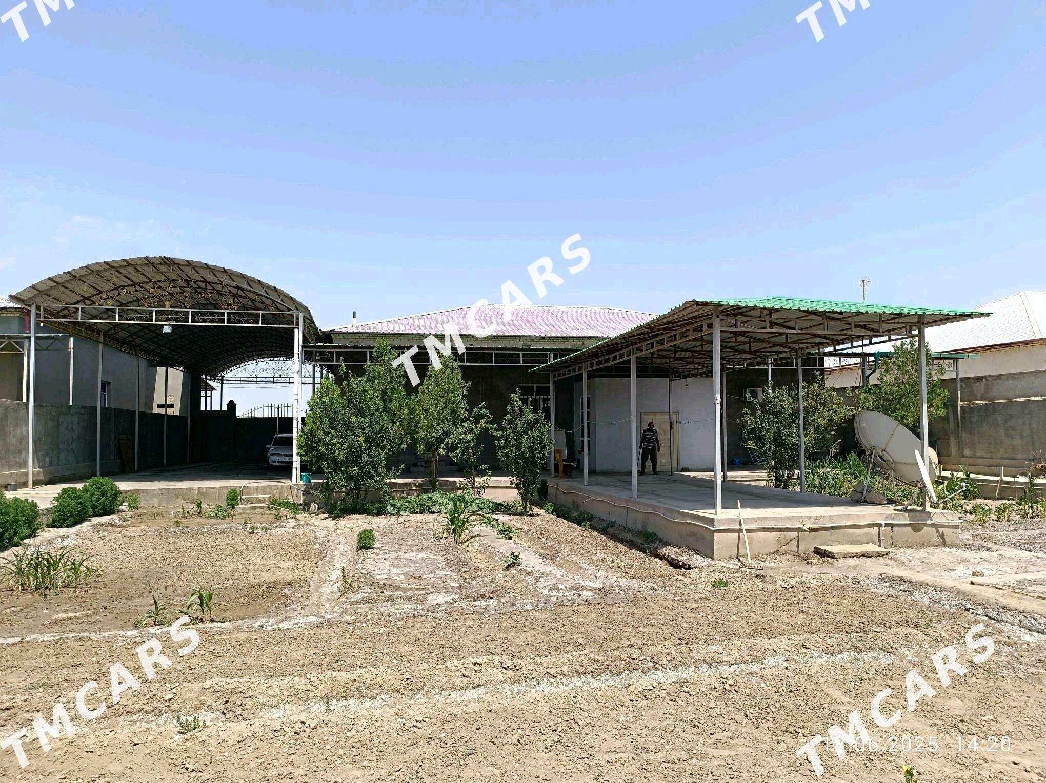 Satlyk jay - Şabat etr. - img 11