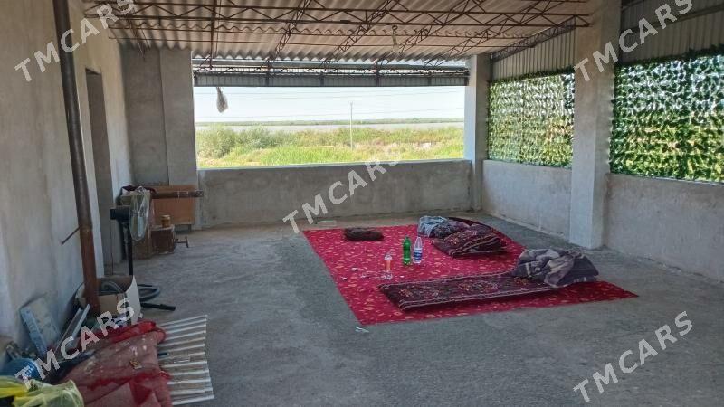 Дача саглык елы. - Türkmenabat - img 8