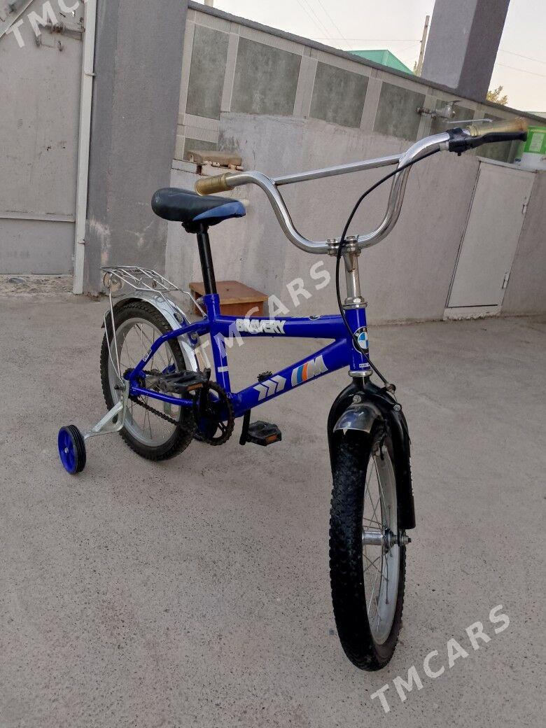 tigir 16 lyk - Багир - img 2