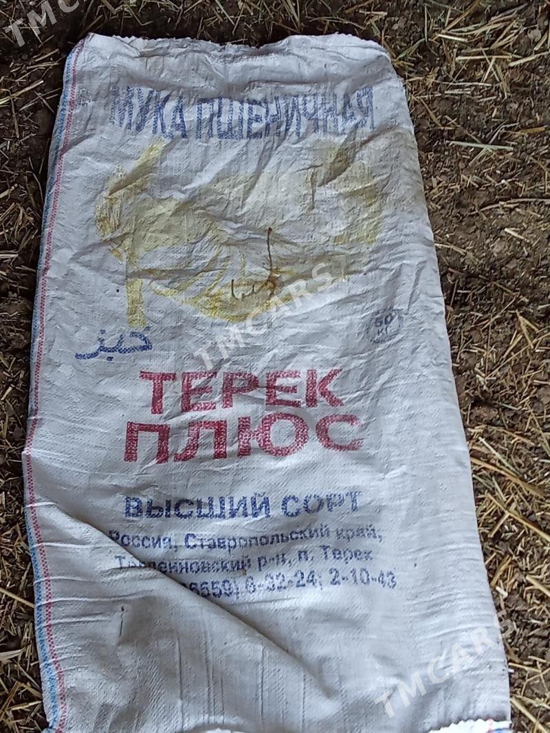 halta - Гёкдже - img 2