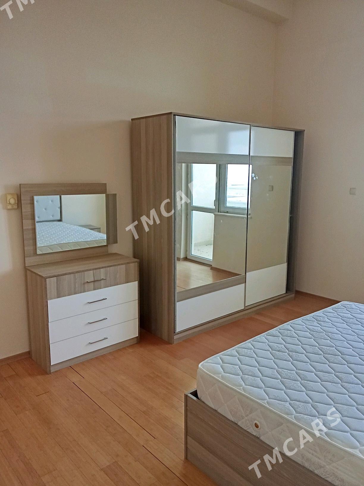 Oy goslary - Aşgabat - img 4