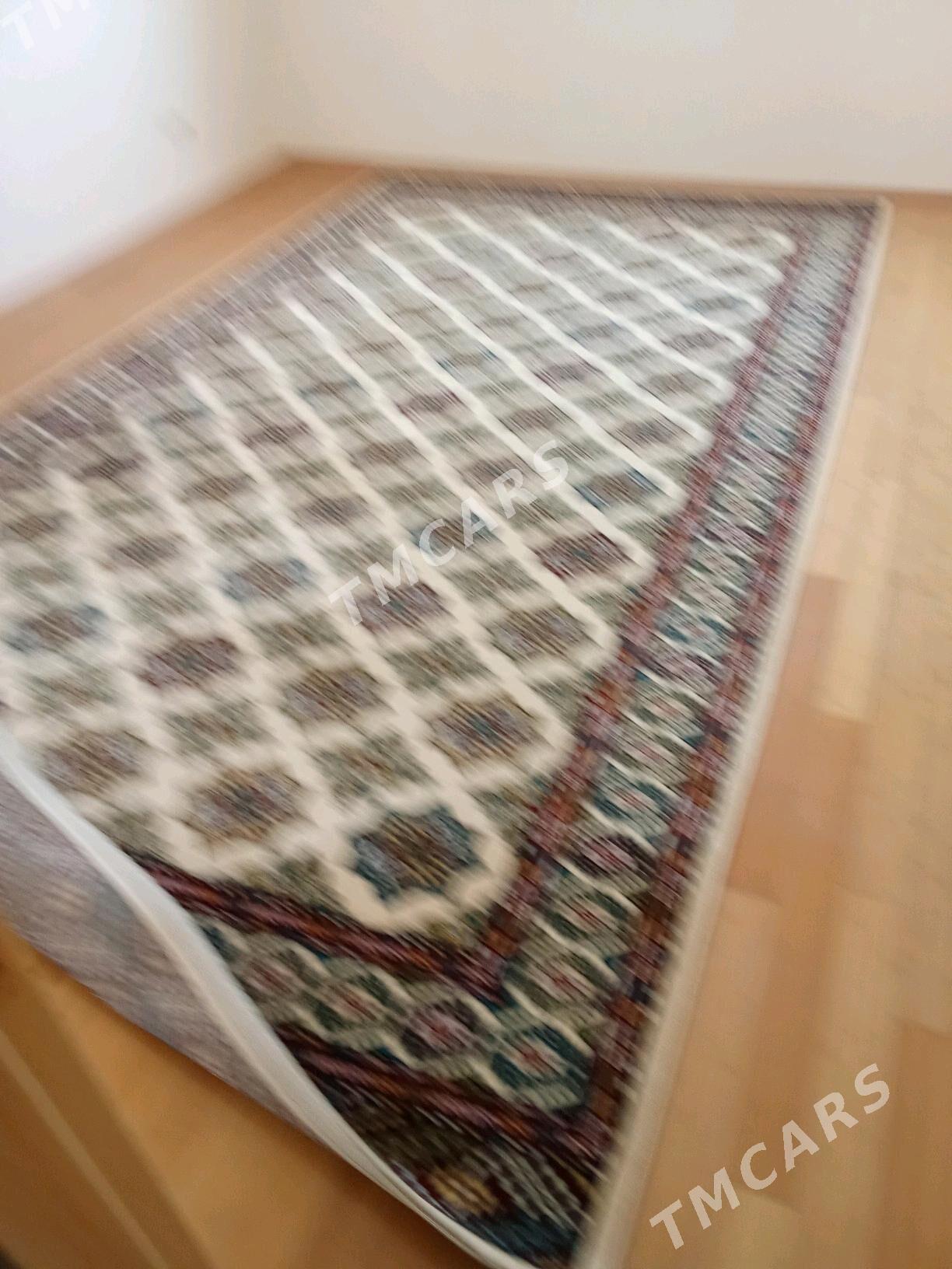 Oy goslary - Aşgabat - img 2