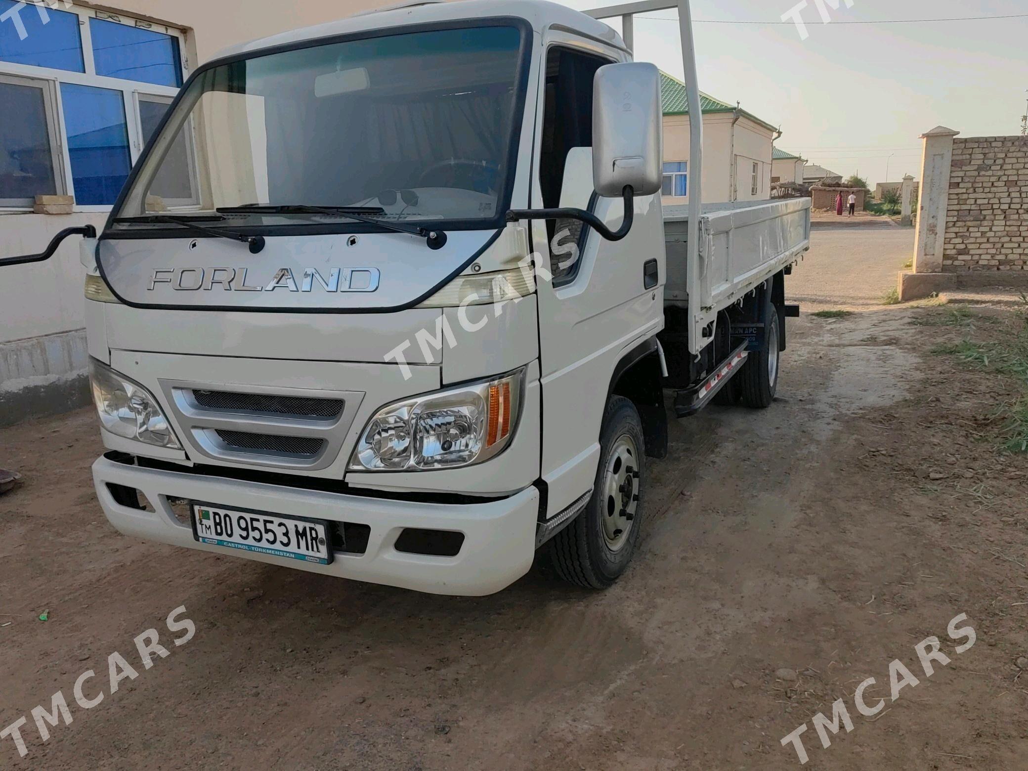 Forland H2 2011 - 85 000 TMT - Mary - img 2