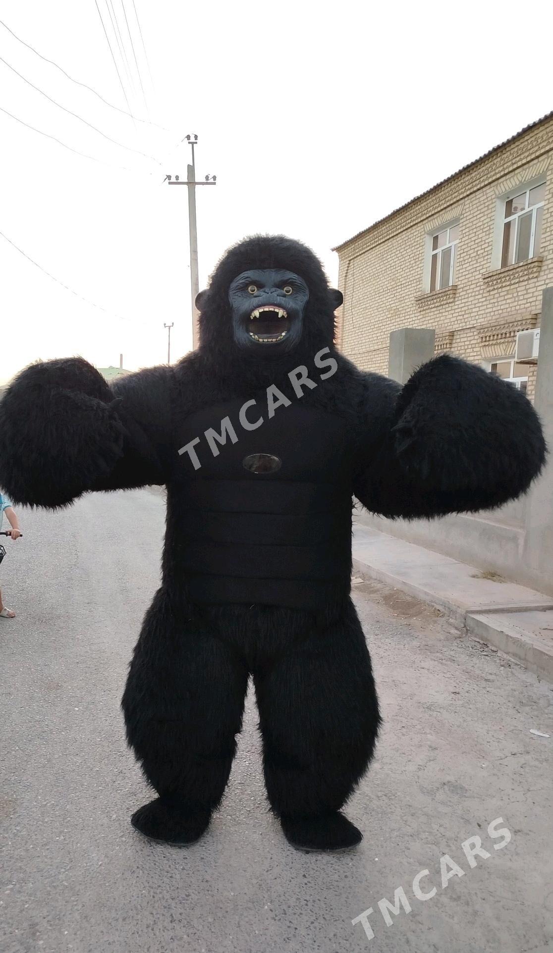 satlyk Garilla panda aýy mişka - Ашхабад - img 2