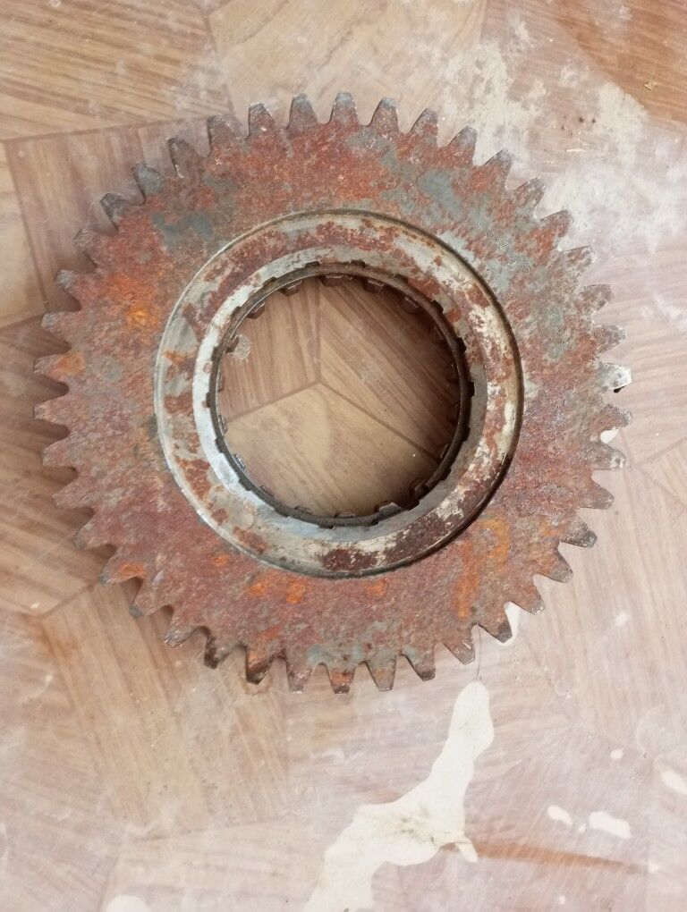 Diş 250 TMT - Gumdag - img 2