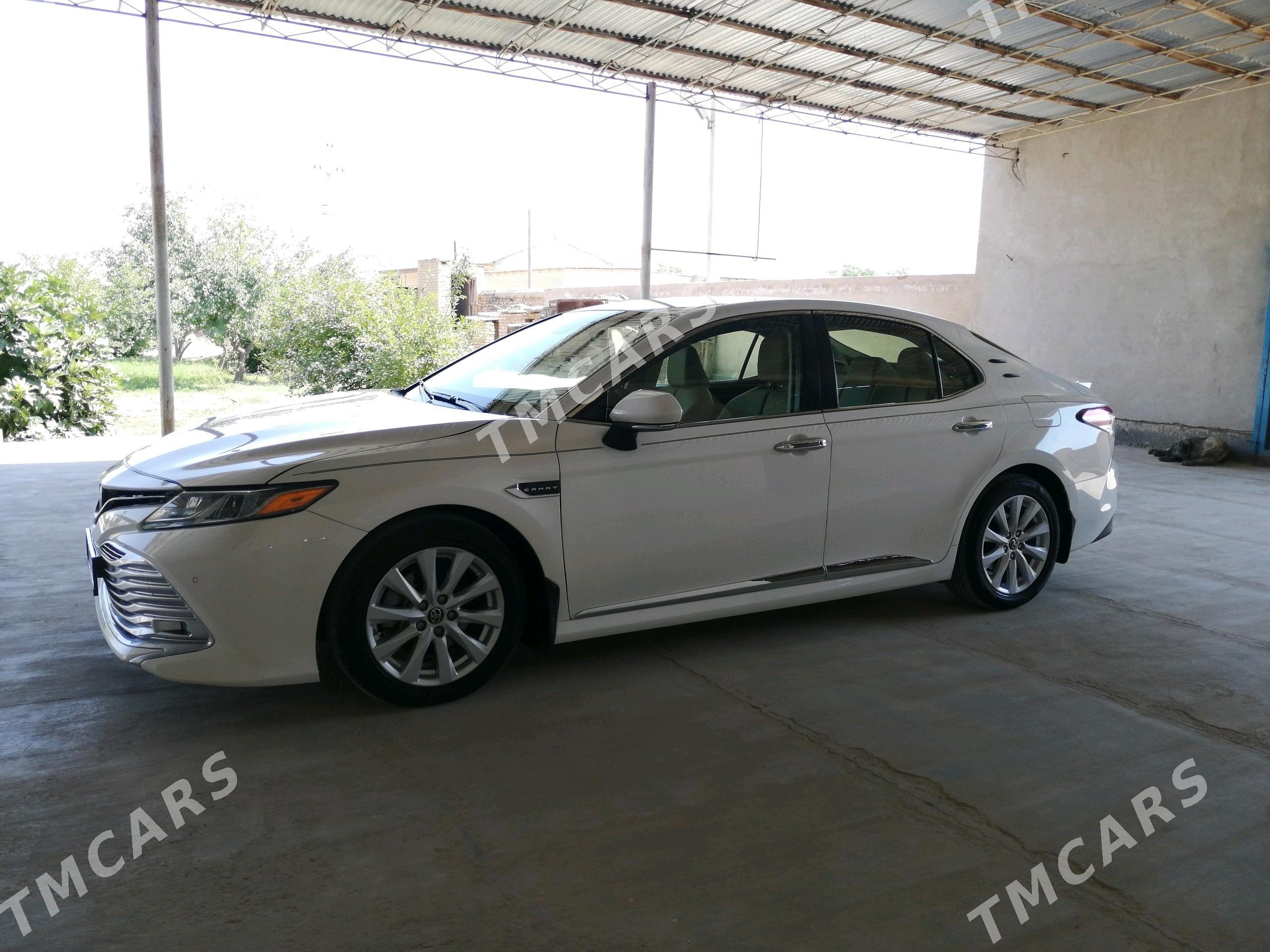 Toyota Camry 2018 - 320 000 TMT - Саят - img 7