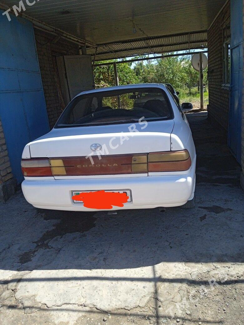 Toyota Corolla 1992 - 35 000 TMT - Türkmenabat - img 3