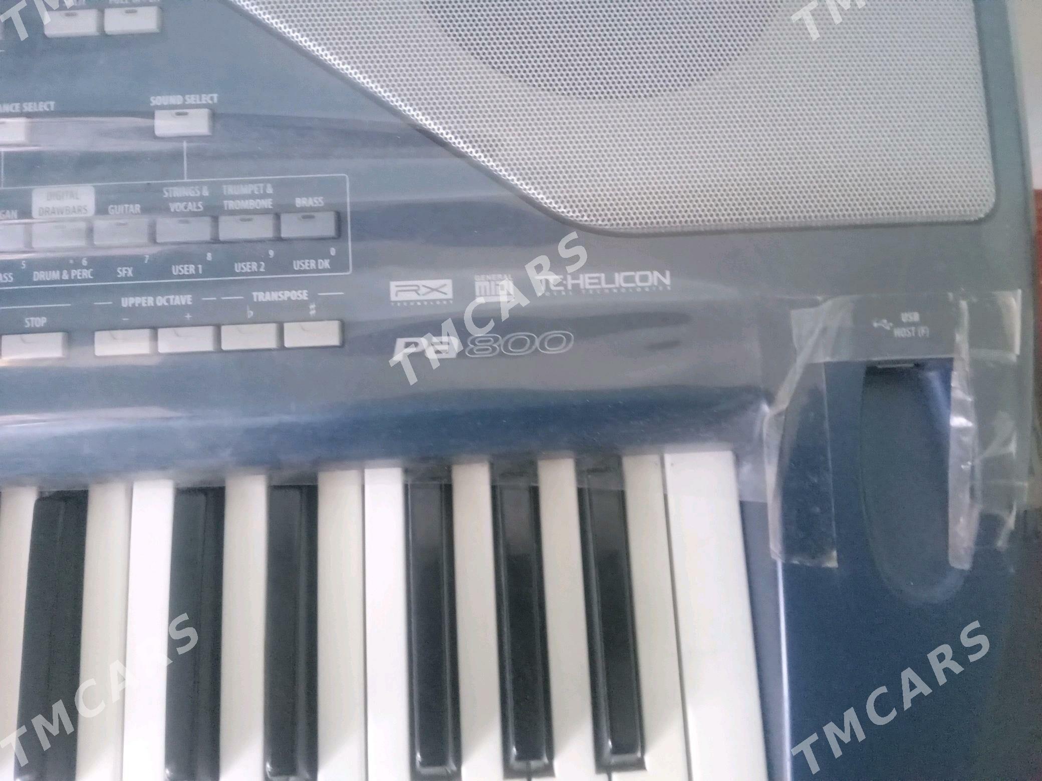 korg pa 800 - Mary - img 3