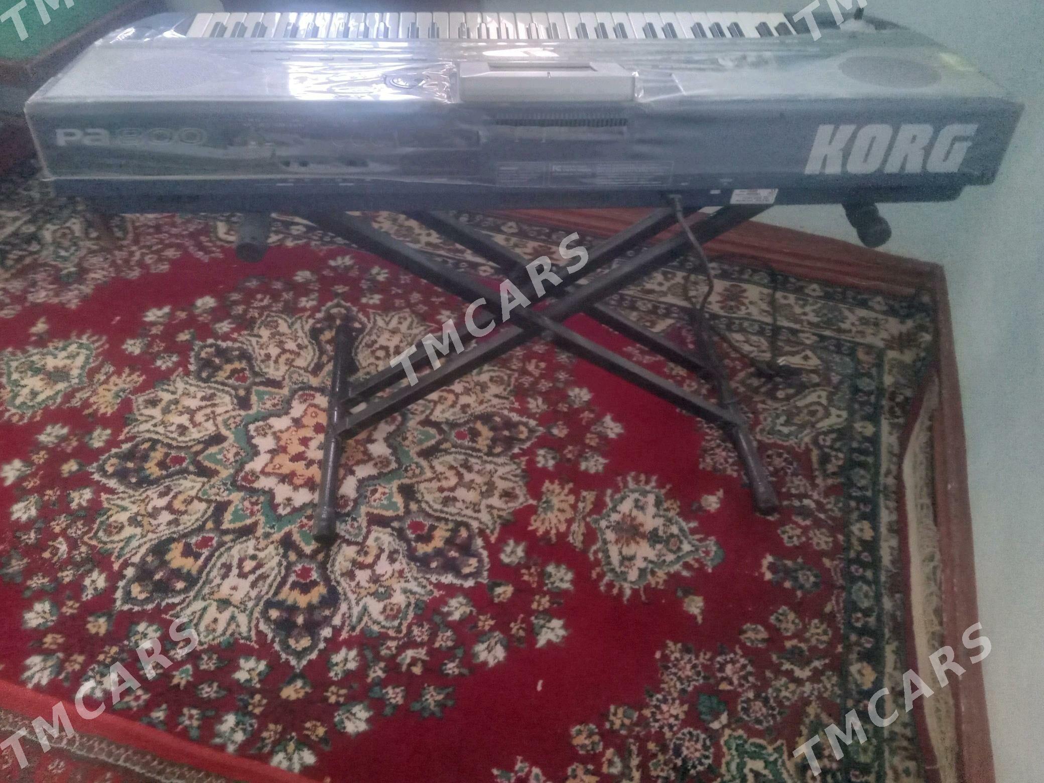 korg pa 800 - Mary - img 4