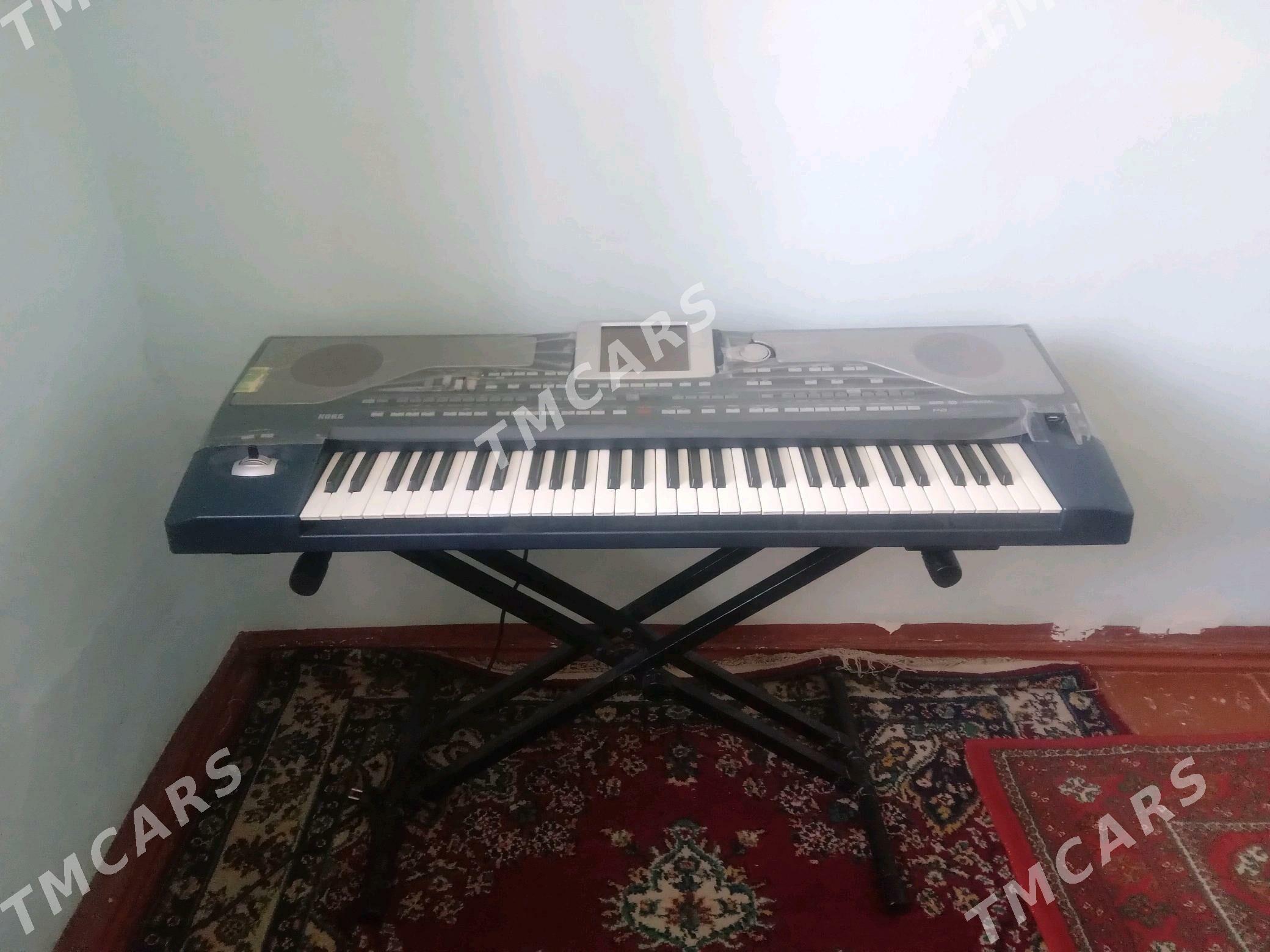 korg pa 800 - Mary - img 2