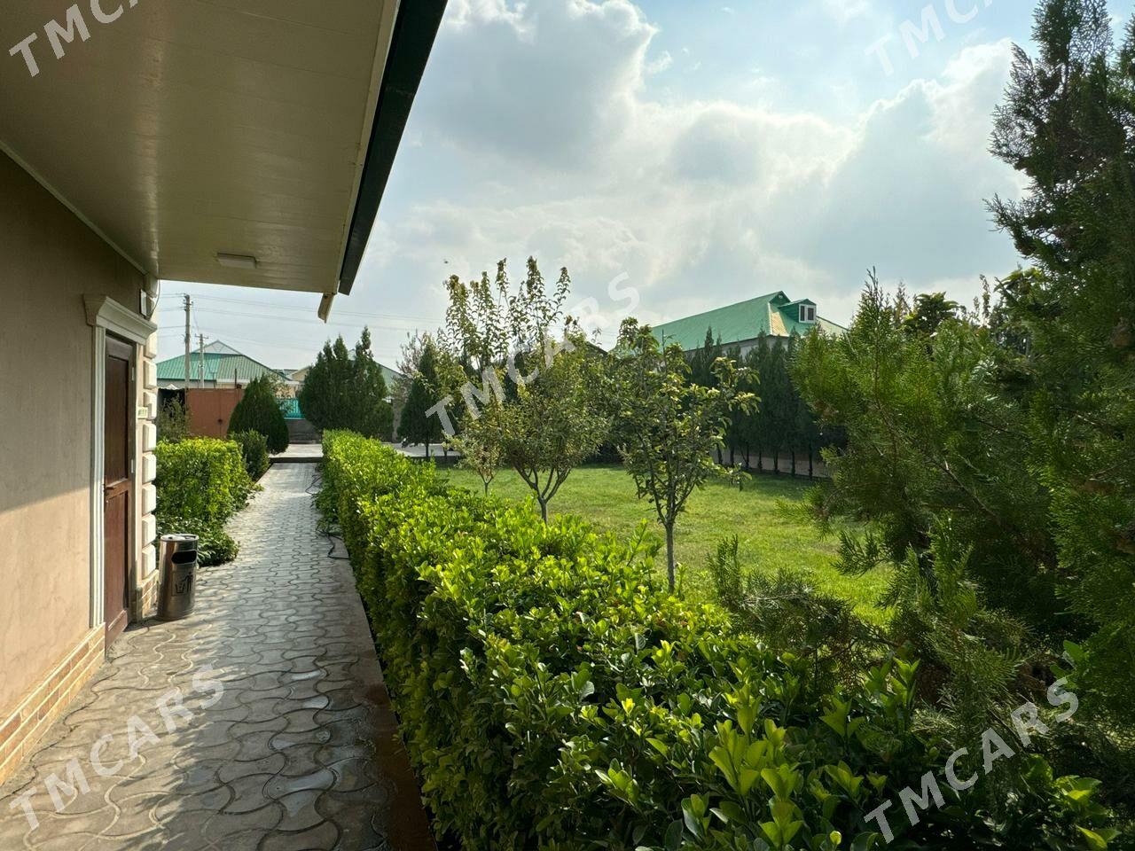 Багир Миреве - Bagyr - img 4