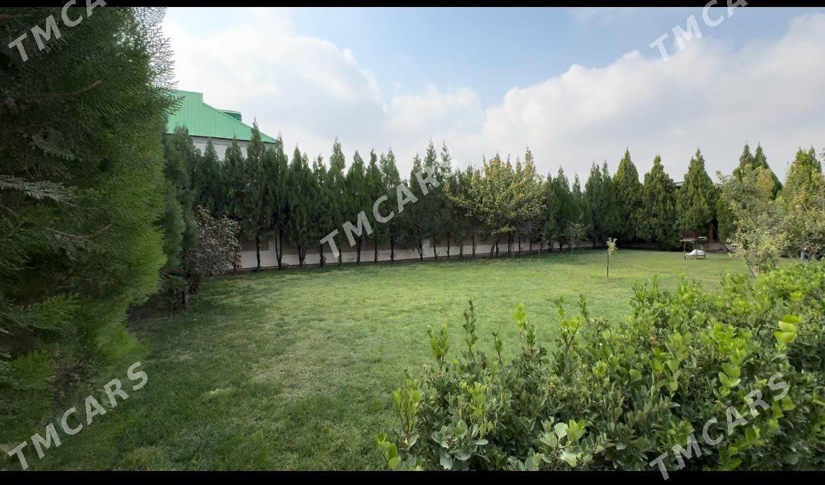 Багир Миреве - Bagyr - img 3