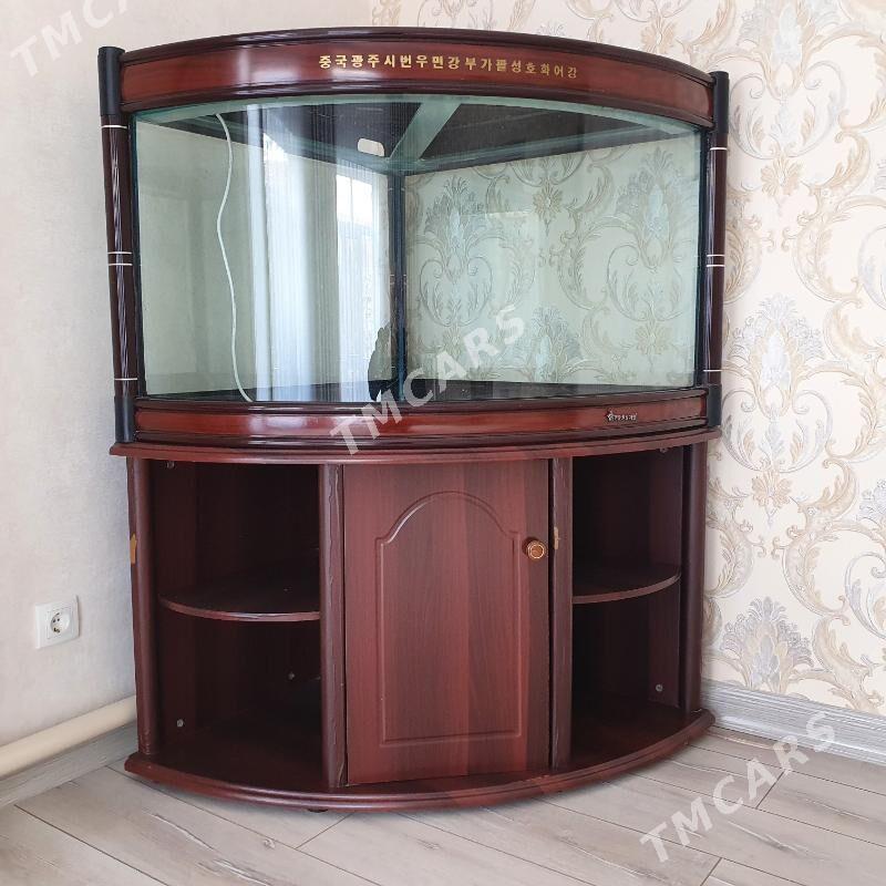 Аквариум - Türkmenabat - img 2