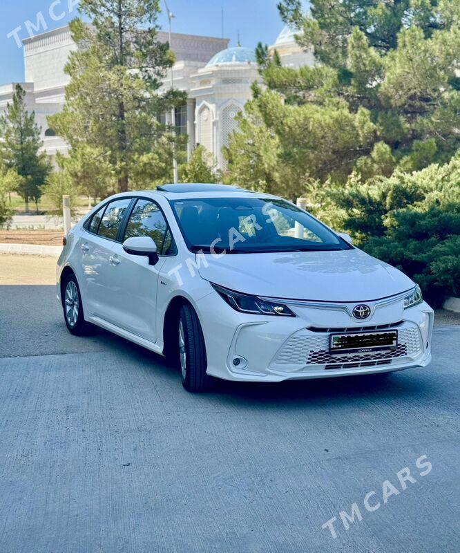Toyota Corolla 2025 - 410 000 TMT - Balkanabat - img 2